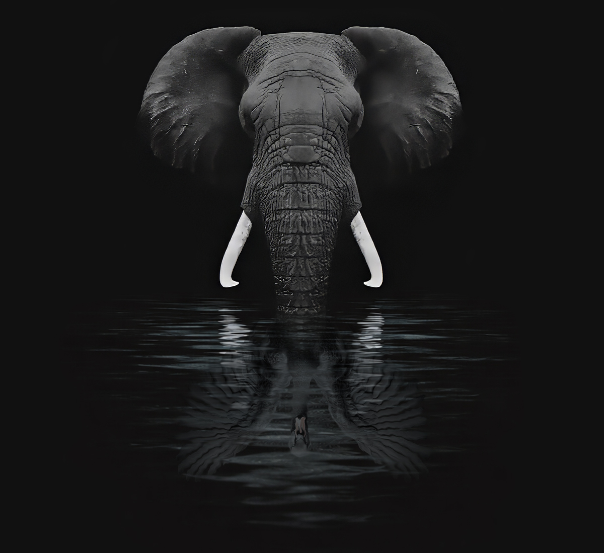 Den Sorte Elefant